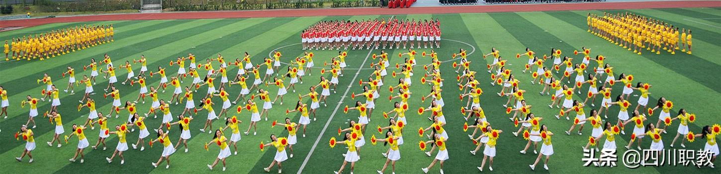 川南幼儿师范高等专科学校(川南幼儿师范高等专科学校专升本)图1