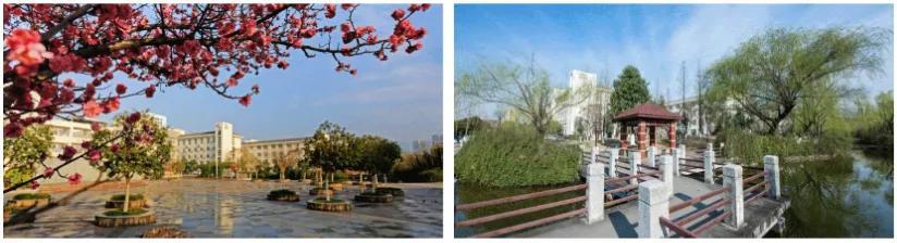 川北幼儿师范高等学校(川北幼儿师范高等学校专升本有哪些)
