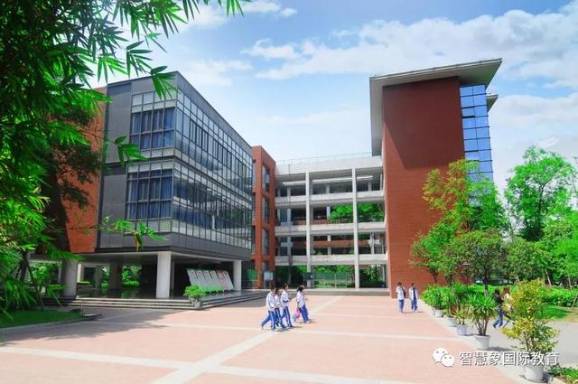 成都协同国际学校学费(成都华德福国际学校学费)