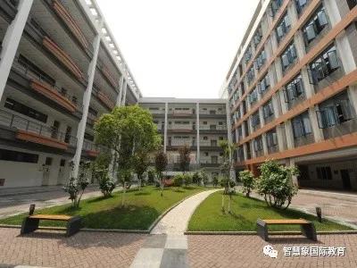 成都协同国际学校学费(成都华德福国际学校学费)