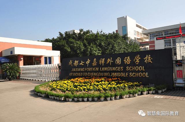 成都协同国际学校学费(成都华德福国际学校学费)