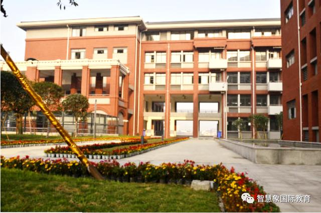 成都协同国际学校学费(成都华德福国际学校学费)
