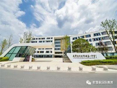 成都协同国际学校学费(成都华德福国际学校学费)