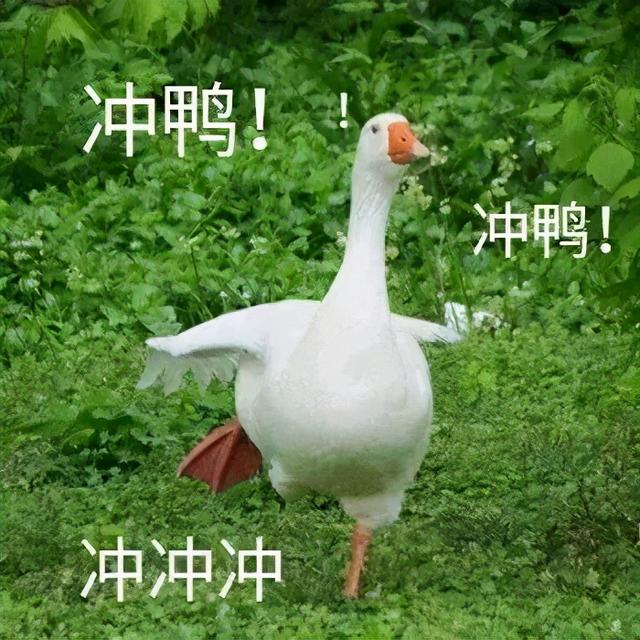 成都市财贸职业高级学校(四川省成都市财贸职业学校)