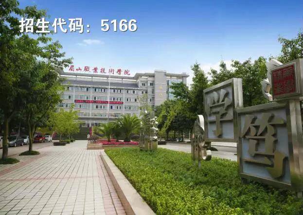 单招公办学校(单招的公办师范学校有哪些)