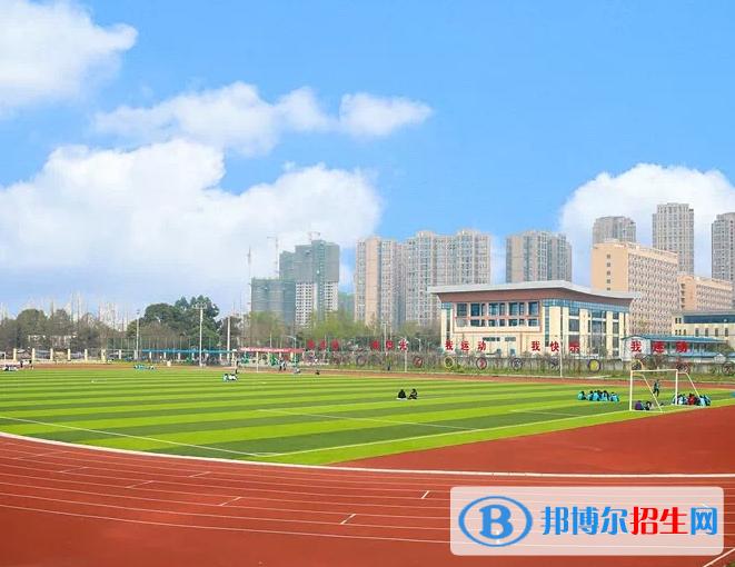成都有幼师专业的学校(成都公办幼师学校排名表)