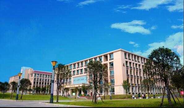 泸州职业技术学校官网(泸州职业医学院官网)