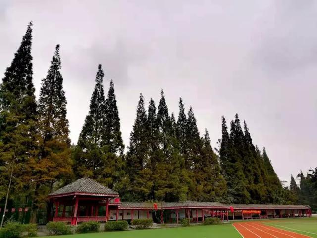 成都文武学校友爱校区(成都文武学校友爱校区官网)