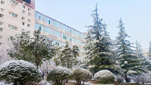 单招学校排名公办(河北单招第九类公办学校排名)图1