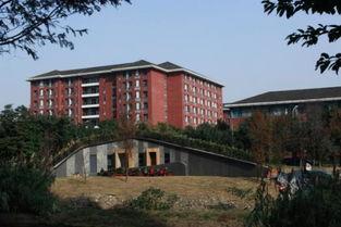 成都七中育才学校地址(成都七中育才学校银杏校区)