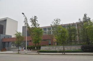 成都七中育才学校地址(成都七中育才学校银杏校区)
