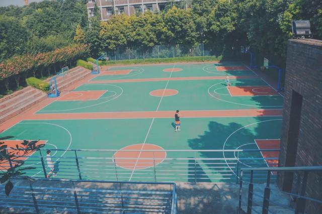 成都国际标榜职业学校(四川国际标榜职业学校官网)