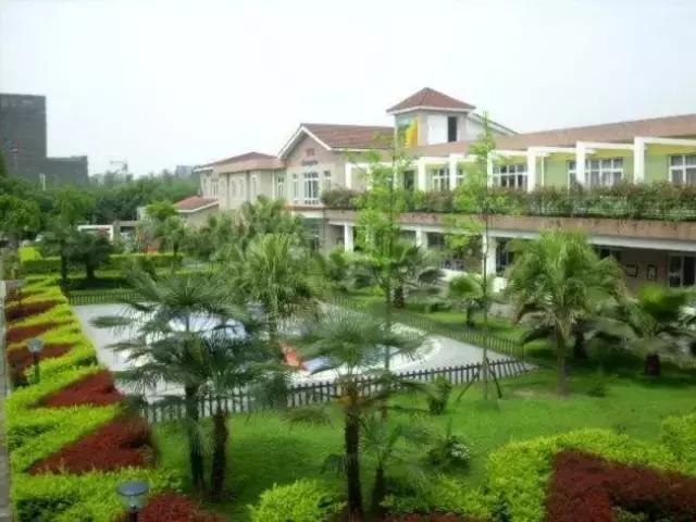 成都国际学校学费(上海的国际学校学费)