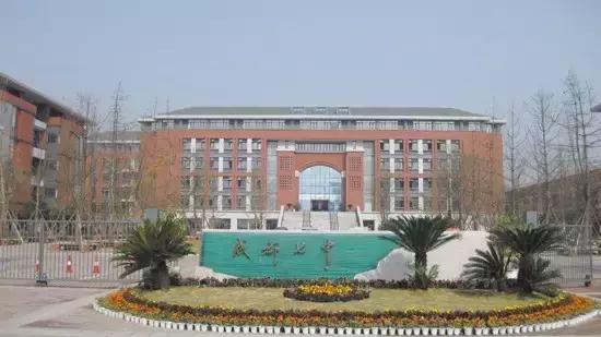 成都国际学校学费(上海的国际学校学费)