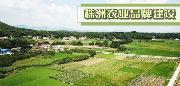 单招学校报名(怎么单招报名)