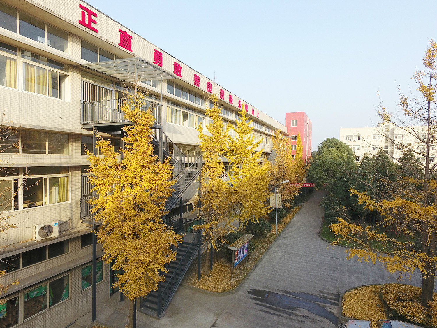 成都东软学院学杂费_成都东软学院收费_成都东软学院收费标准