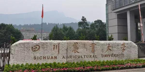 成都商贸职业技术学校(成都商贸职业技术学校与成都市现代制造职业学校那个好)