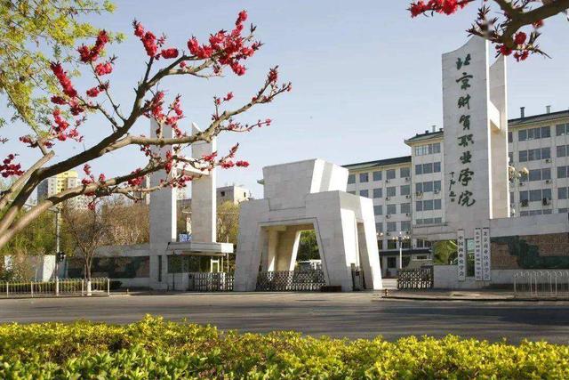 北京的职高学校有哪些(北京艺术类职高学校有哪些)