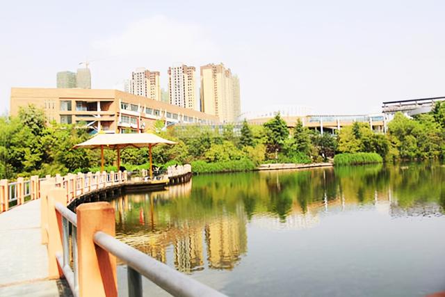 龙泉中等职业学校(龙泉市中等职业学校)