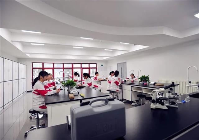 北京私立学校教师招聘(公立小学教师招聘网站)