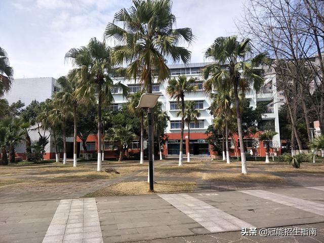 成都职业技术学校招生(成都市职业技术学校有哪些)