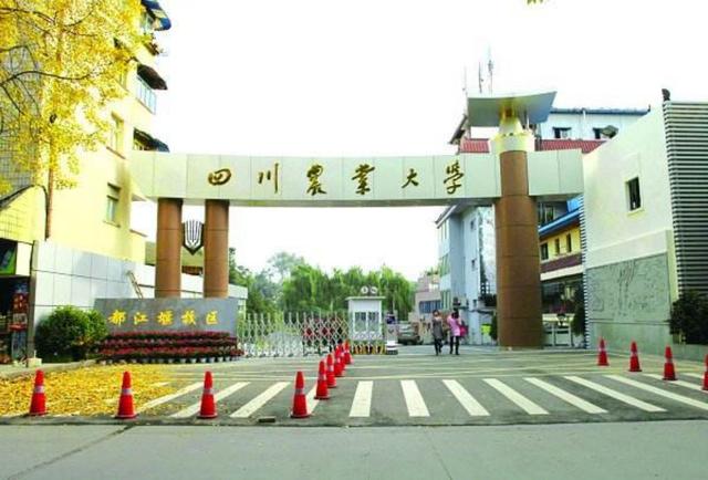 成都考研学校排名(成都考研机构排名推荐)