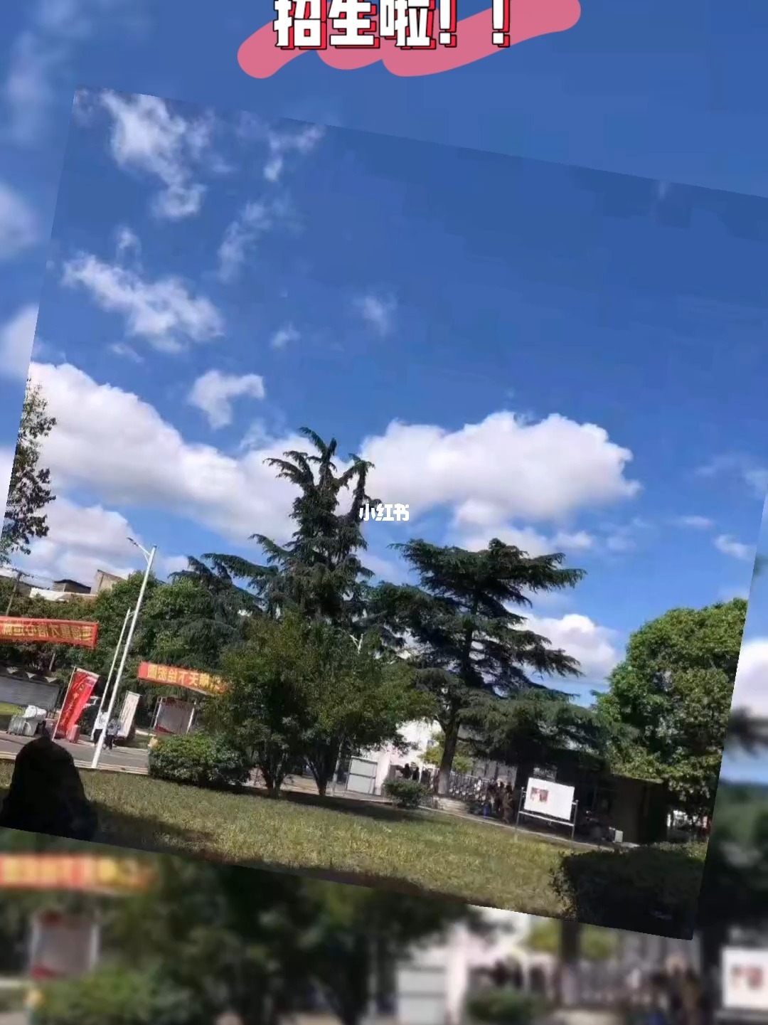 绵阳卫校学校有哪些(绵阳卫校学校有哪些专业)