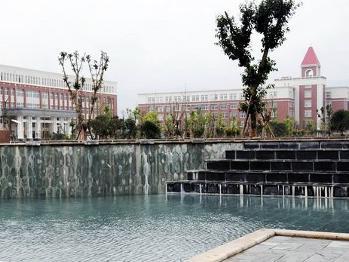 成都大专学校(成都大学专科)