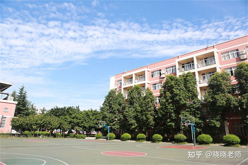 成都乐盟国际学校学费(成都乐盟国际学校幼儿园)