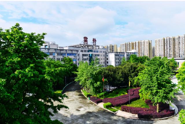 成都墨尔文学校好不好(成都墨尔文学校好不好进)