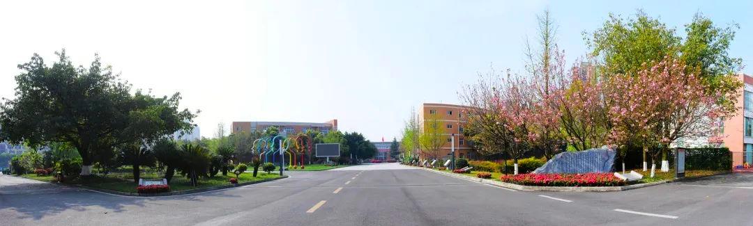 成都墨尔文学校好不好(成都墨尔文学校好不好进)