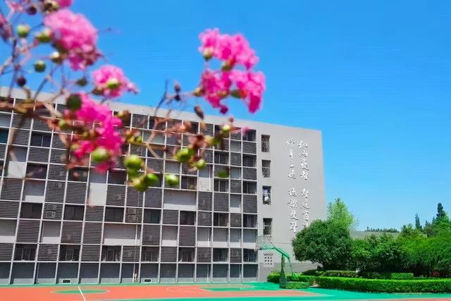 成都墨尔文学校好不好(成都墨尔文学校好不好进)