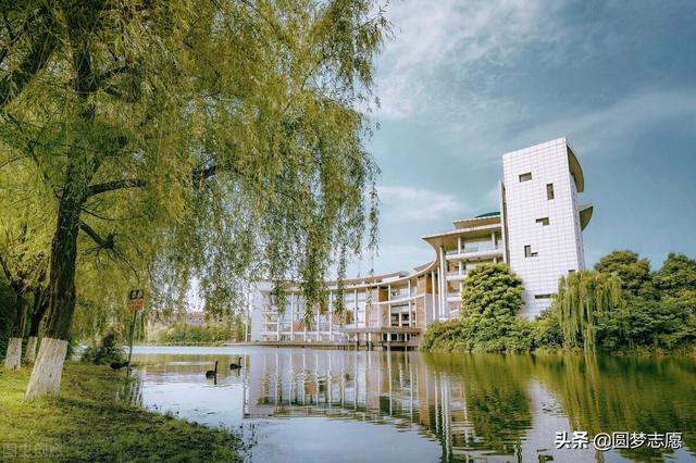 成都有哪些本科学校(成都有哪些本科学校比较好)