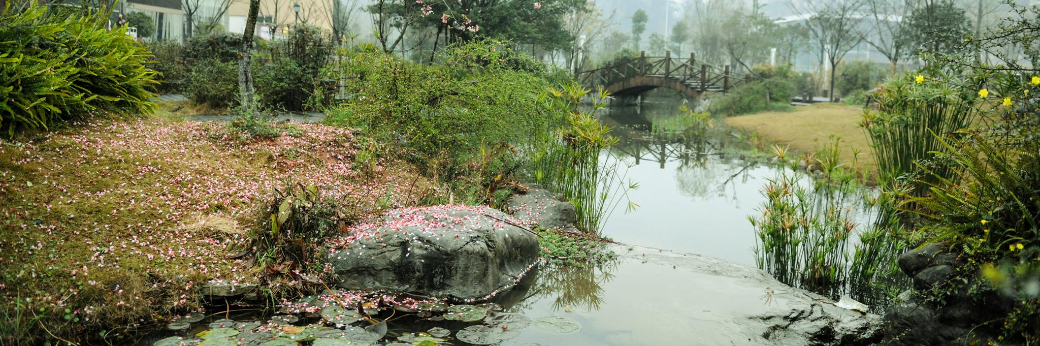 达县师范专科学校(达县师范专科学校有哪些专业)