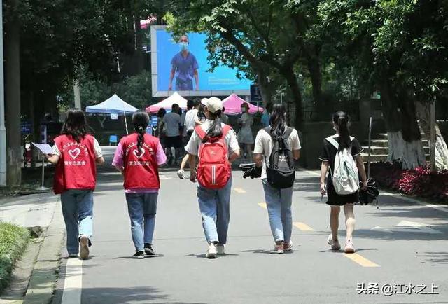 关于泸职院2019单招分数线的信息