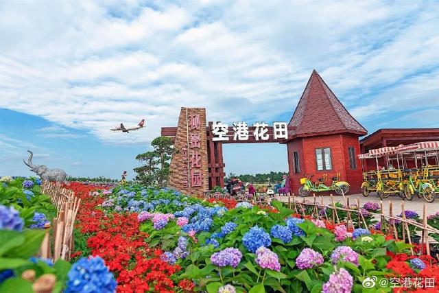 成都网红打卡地(成都网红打卡地排名)