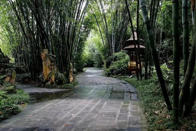 成都网红打卡地(成都网红打卡地排名)