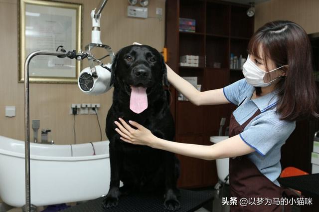 女生初中学历适合学什么技术(女生初中学历学计算机好吗)