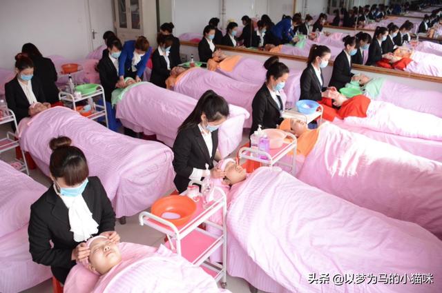 女生初中学历适合学什么技术(女生初中学历学计算机好吗)