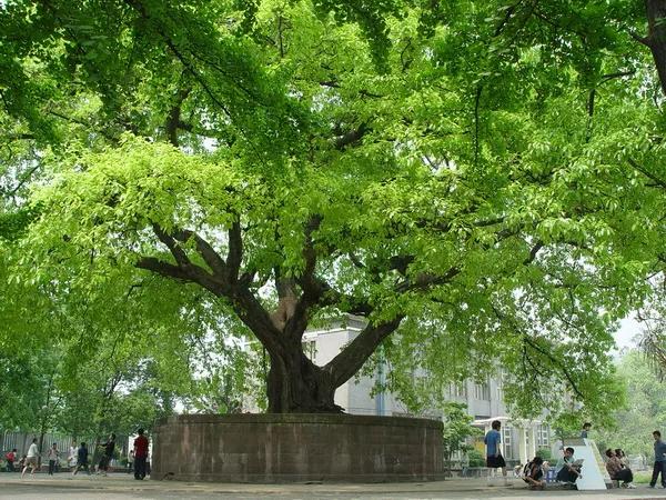成都新希望职业技术学院(四川新希望汽车职业技术学院)