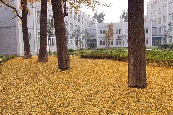 成都新希望职业技术学院(四川新希望汽车职业技术学院)