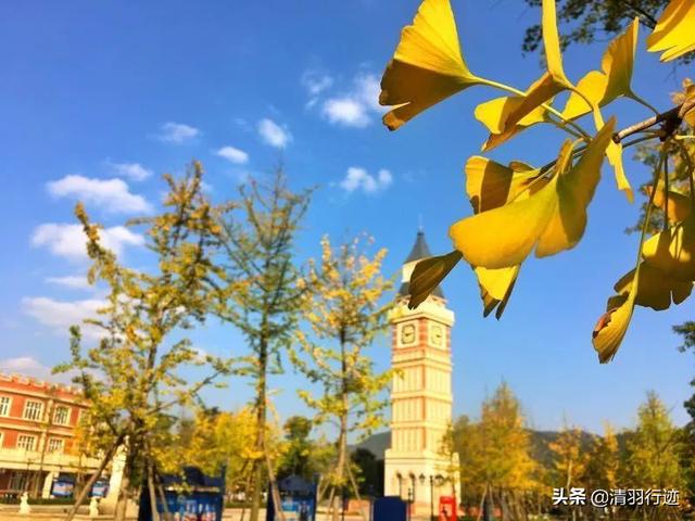 成都西南航空职业学校(西南航空职业技术学校)
