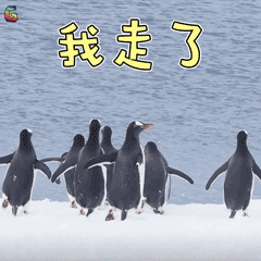 免学费中专招生学校有哪些(广州免学费中专招生学校有哪些)