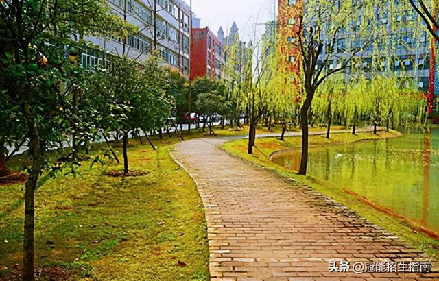 成都正规公立职业学校(成都公立职业学校排名前十)