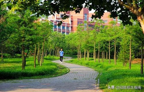 成都有护理专业的大学有哪些(成都本科护理专业大学有哪些)