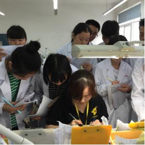 成都市卫生学校(成都市卫生学校怎么样)