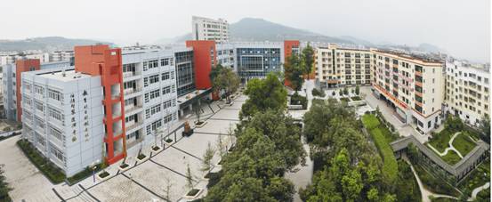 重庆幼师职业学校有哪些(重庆幼师职高学校)