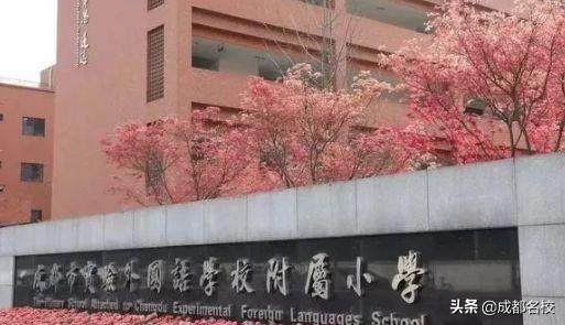 成都私立小学校一览表(成都排名前十私立小学)