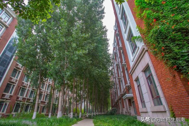 成都公办中专学校排名(沈阳公办中专学校排名)