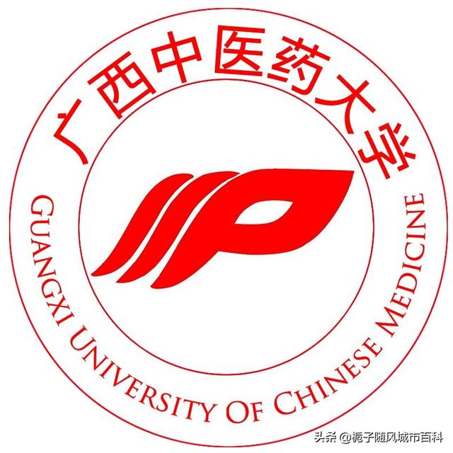 广西前十名的大专(广西大专排行榜公办)